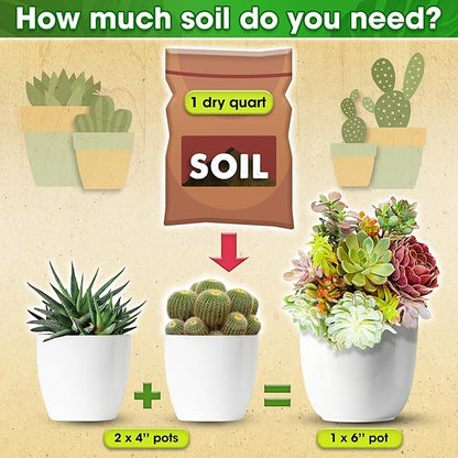DUSPRO Succulents Soil Potting Mix – 7 in 1 Ingredients Well-Draining, Nutrient-Rich Cactus Potting Soil for Succulents and Cacti, Indoor & Outdoor Use, Ready to Use, Supports Healthy Root Growth, 2QT