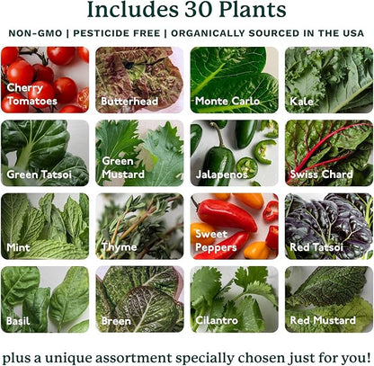 Gardyn 4.0 Vertical Hydroponics Growing System Kit - 30 Non-GMO Plants, Herbs, Vegetables - Smart Tower Garden - Hydroponic Herb Garden Planter Indoor Kit - Indoor Gardening System w/LED Grow Lights