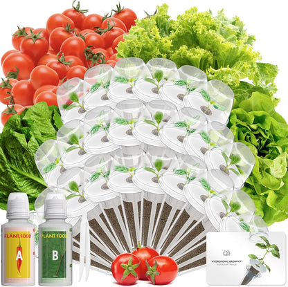 Salad Seed Pod Kits for AeroGarden, 24-Pods Ahopegarden, iDOO Hydroponics Growing System Herb Garden, 400+ Seeds, Including American Fast Lettuce, Buttercrunch Lettuce, Red Cherry Tomato