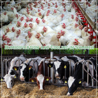 300 Pcs Misting Nozzle Sprayer 90/180/360 Degree Atomizing Micro Sprinklers Drip Ring Irrigation Emitters Sprinkler Nozzle Refraction Drip Emitters for Garden Agriculture Lawn