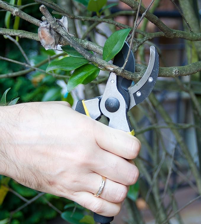 Astorn 8" Premium Bypass Pruning Shears for Gardening - Heavy Duty, Ultra Sharp Garden Shears w/Ergonomic Soft Grip Handle - Made with High-Grade Carbon Steel - Ideal for Cutting, Gardening & Trimming