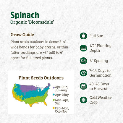 Back to The Roots 100% Organic Heirloom Seeds - Spinach Value Pack (2g Total)