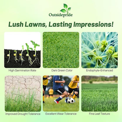 Outsidepride Fireball & Hattrick Rye Grass Seed Blend - 50 Lbs. Wear Tolerant, Fine Leaf Texture Perennial Rye Grass Seeds for Lawn, Sports Turf & More, OptiGrowth Coated for Better Establishment