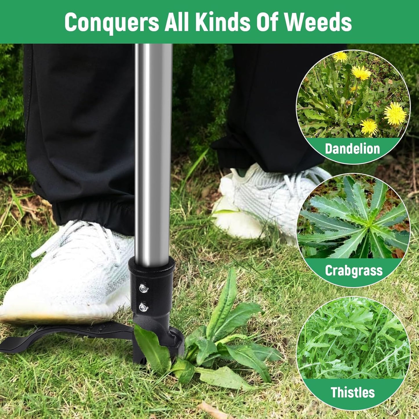 GOXAWEE Weed Puller Tool, 4-Claw Stand Up Weeder with Adjustable 46” Handle for Remove Weeds Without Bending, Pulling or Kneeling