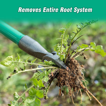 Weed Puller Tool Gardening Hand Weeding Tool with Long Handle 4 Steel Claws and Collapsible Trash Can for Lawn and Garden,Easily Remove Weeds Without Bending, Pulling,or Kneeling