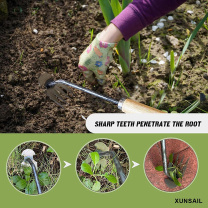 Crack Weeder Tool Set Weeder Tool Steel Weed Puller Tool for Garden Weed Remover Claw for Patio Sidewalk Driveway Cracks