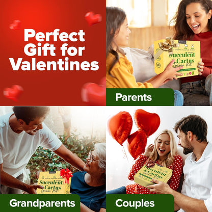 Succulent & Cactus Grow Kit – Complete Plant Gift Set with 4 Ceramic Pots & Trays, 6 Seed Packs (3 Cactus, 3 Succulent), Plant Markers, Peat Pellets, Nutrients & Guide – Ideal Holiday & Birthday Gift