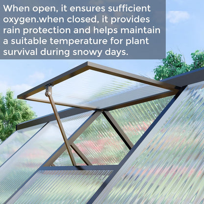 6 x 8 FT Greenhouse for Outdoors,Aluminum Large Walk-in Greenhouse,Dark Gray