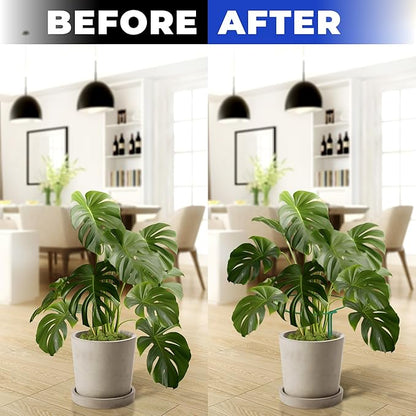 K-Brands 12 Pack Plant Support Stakes – Heavy-Duty Half Round Peony Support Ring and Cage for Indoor and Outdoor Plants – Peony, Tomato, Hydrangea, Rose 10" Wide x 16" High