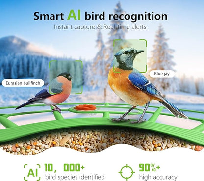 Bird Feeder with Camera, AI Birds Identification, Solar Powered, Live View, Instant Alerts, Capture Bird Videos, 2K HD Camera, Ideal Gift for Family and Enthusiasts (Green)
