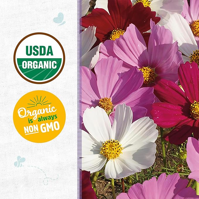 Back to The Roots 100% Organic Heirloom Seeds - Cosmos Flower Value Pack (1g Total)
