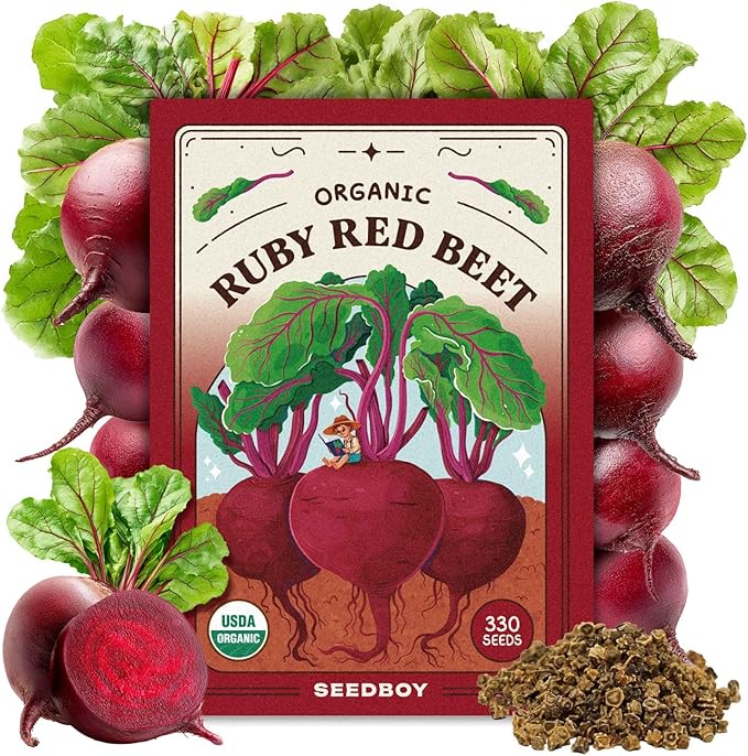 Seedboy Organic Beets Seeds for Planting Indoor and Outdoor, Non-GMO and USDA Certified Vegetable Seed Packet for Hydroponic Garden Indoor or Planting Outdoors (Detroit Dark Red Beets)
