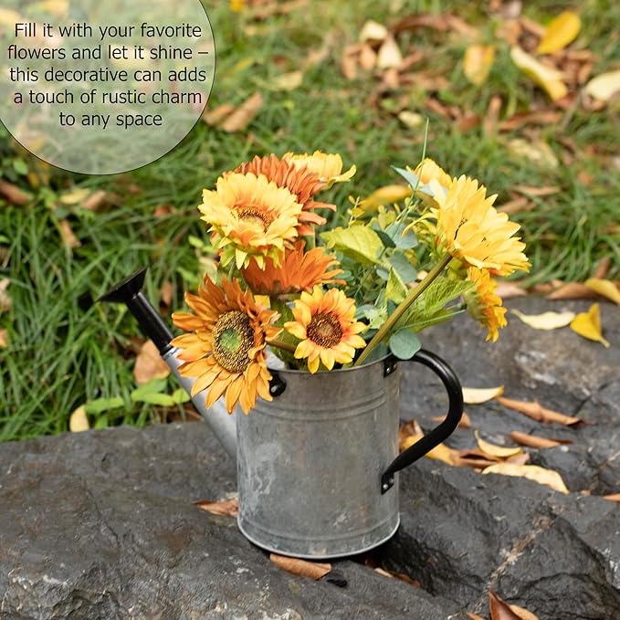 Gardenised 1 Gallon Metal Watering Can with Removable Long Spout & Sprinkler Head for Indoor & Outdoor Use Ideal for Garden Flowers Potted Plants Houseplants Modern Decorative Home Accessories, Silver