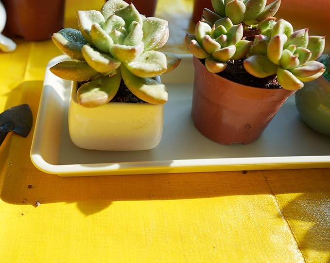 2 Pack Plastic Plant Saucer, Rectangular 24 inch, Indoors/Outdoors, Drip Tray for Flower Pot, Windowsill (8 X 24'', Beige)