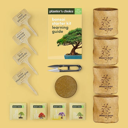 Bonsai Starter Kit - Gardening Easter Gift for Women & Men - Bonsai Tree Growing Garden Crafts Hobby Kits for Adults, Unique DIY Hobbies for Plant Lovers - Unusual Christmas Gifts Ideas