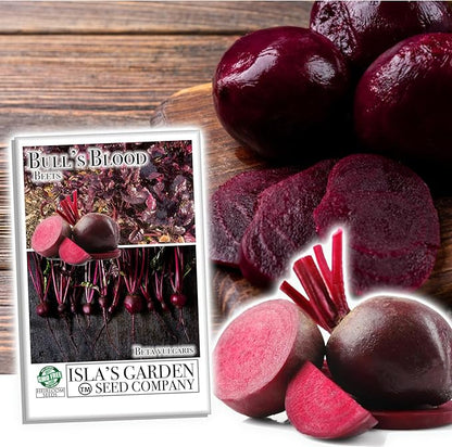 Bull's Blood Beet Seeds for Planting, 100+ Heirloom Seeds Per Packet, (Isla's Garden Seeds), Non GMO Seeds, Botanical Name: Beta vulgaris, Great Home Garden Gift