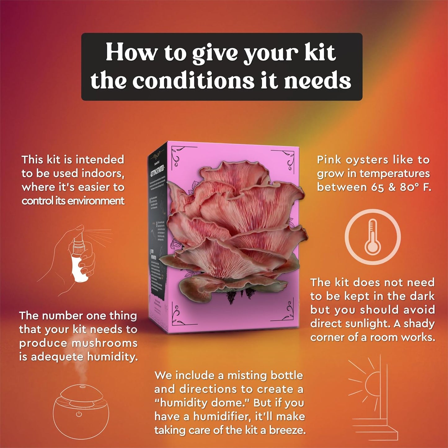 Pink Oyster Mushroom Grow Kit (4lbs) | USDA Certified Organic | Grow Your Own Delicious Gourmet Mushrooms at Home