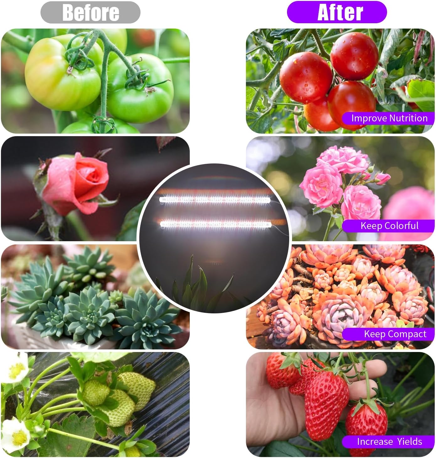 LED Grow Light Strips for Indoor Plants, 16‘’ Full Spectrum 240 LEDs with 4 Install Methods, 6/12/16H Timer, 10 Dimmable Levels, 3 Switch Modes for Seedling Succulent Sunlike Strip (2 Head 2 Pack)