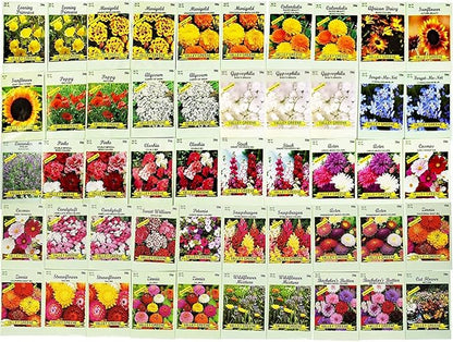 Set of 500 Flower Seed Packets - Flower Seeds in Bulk - 15 or More Varieties Available - Great for Creating Colorful Gardens (500)
