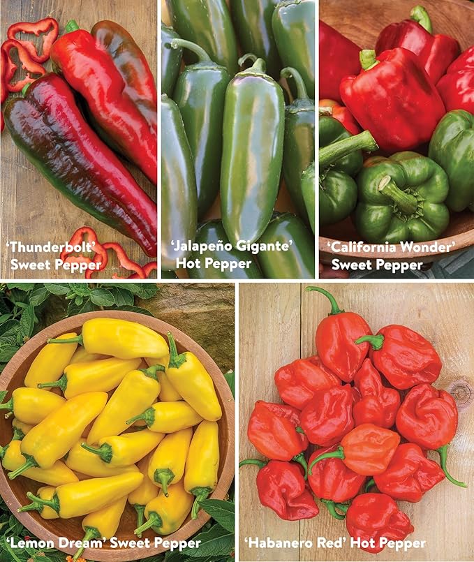 Burpee Best Collection | 10 Packets of Non-GMO Fresh Mix of Hot Pepper & Sweet Varieties | Jalapeno, Bell Pepper Seeds & More, Seeds for Planting