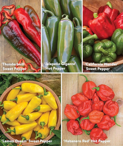 Burpee Best Collection | 10 Packets of Non-GMO Fresh Mix of Hot Pepper & Sweet Varieties | Jalapeno, Bell Pepper Seeds & More, Seeds for Planting