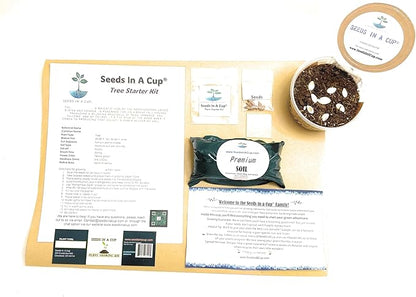 Fraser Fir Tree | Seed Starter Grow Kit | Seeds In A Cup®