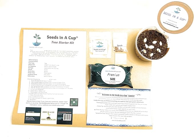 Tangerine Tree | Seed Starter Grow Kit | Seeds In A Cup®