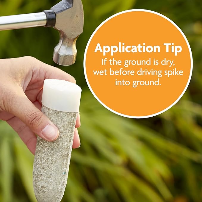 Miracle-Gro Fruit & Citrus Plant Food Spikes