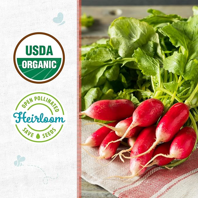 Back to The Roots 100% Organic Heirloom Seeds - Breakfast Radish Seeds for Planting Value Pack (2.8g Total)