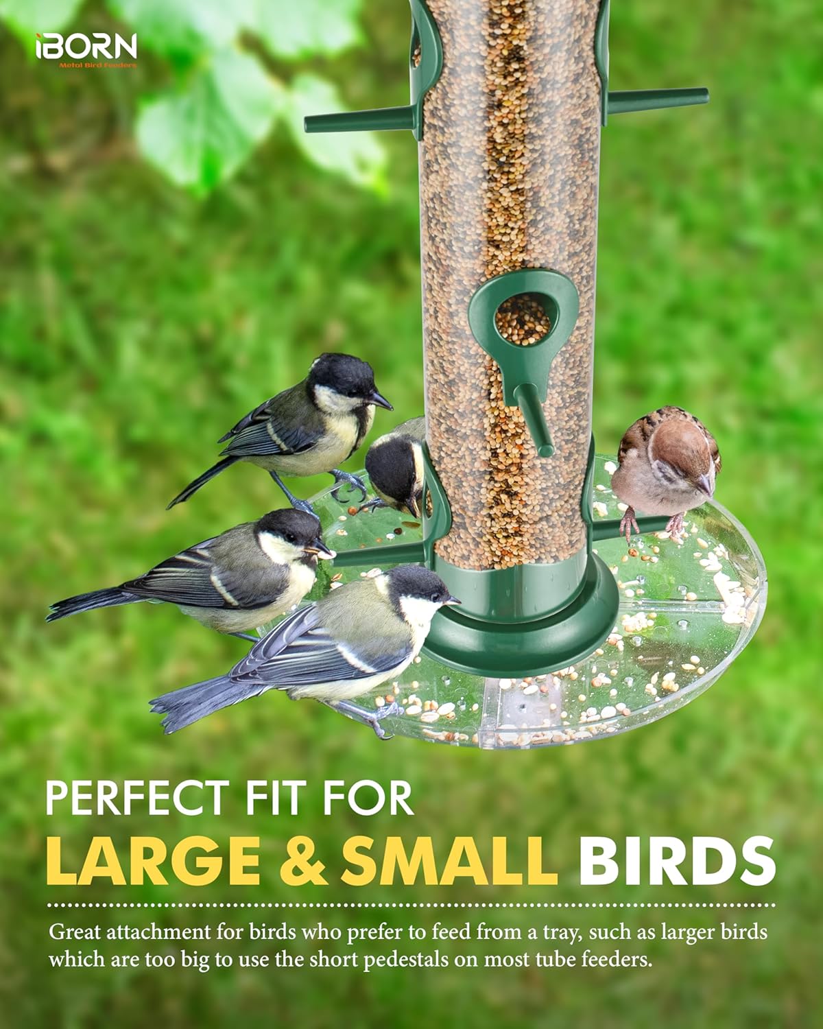 iBorn Bird Feeders Seed Catcher for Outside Hanging 6 Port Bird Feeder for Cardinal Birds Aluminium Metal,Green Finishing 14 Inch 6 Port (Seed is not Included)