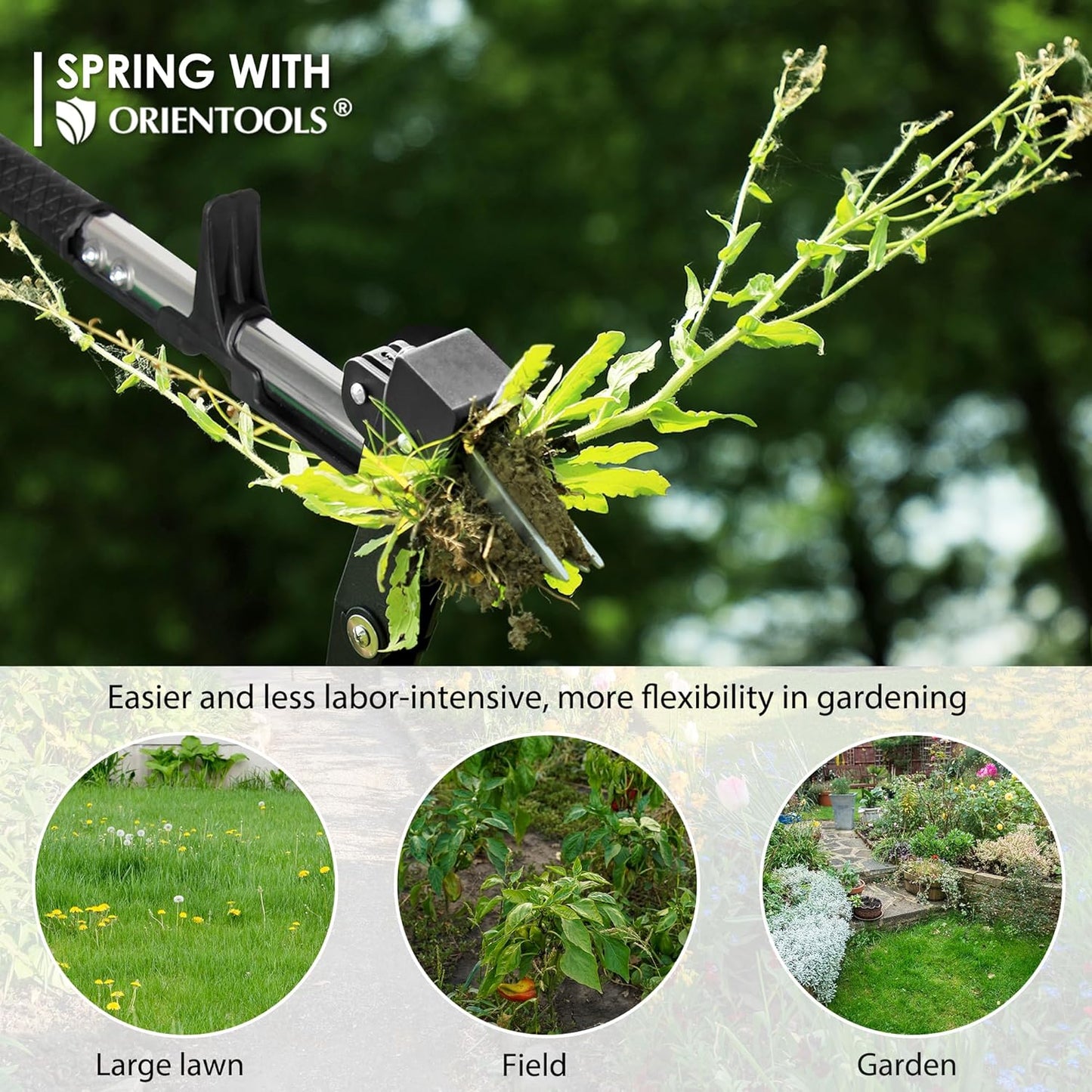 ORIENTOOLS Weed Puller, Stand Up Weed Puller, 32 to 41 inch Long Handle, Upgrade Detachable Telescopic Handle Garden Weeding Tool with 4 Claws for Labor Saving Dandelions Remover Tool