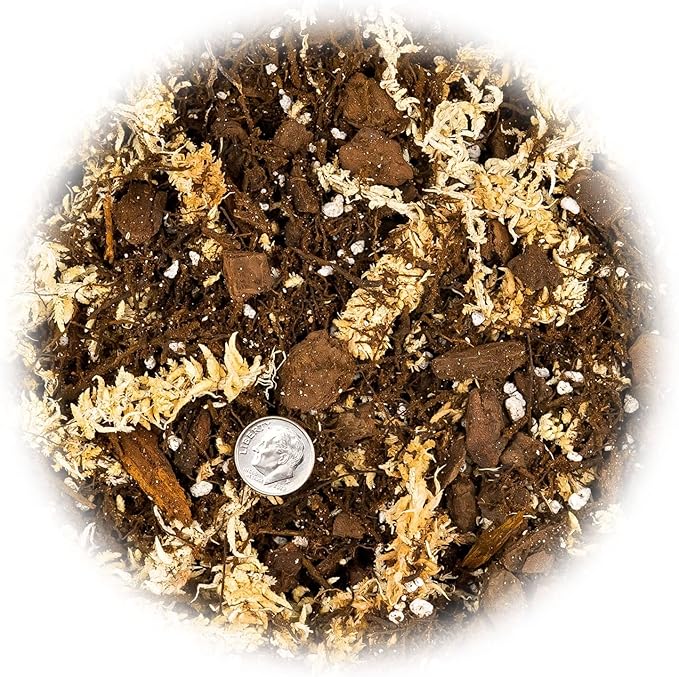 Gardenera Premium Orchid Mix by GARDENERA | Fern + New Zealand Pine Bark + Sphagnum Moss + Perlite | Best for Growing and Repotting Orchids - 1 Quart Bag