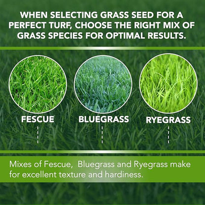 Athletic Field Grass Seed Lawn Seed (50 lb)