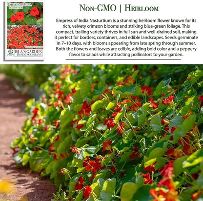 Empress of India Nasturtium Seeds (Tropaeolum nanum) – 50+ Heirloom Non-GMO Seeds by Isla’s Garden Seeds, Deep Crimson Blooms & Dark Green Foliage, Edible Flowers, Perfect for Gardens & Containers