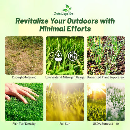 Outsidepride Perennial Buffalo Grass Seed - 5 lbs Heat & Drought Tolerant, Low Maintenance, Warm Season Dense Turf Grass Seed for Lawn, Xeriscape Landscaping, & Roadside Planting