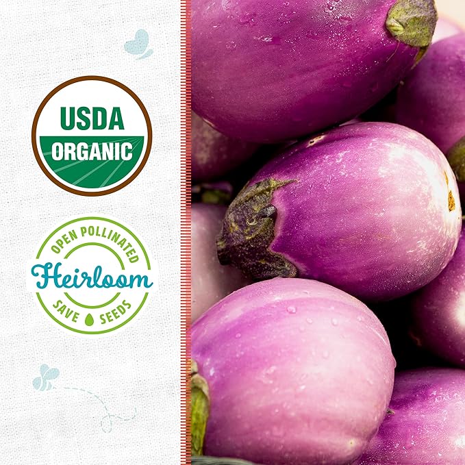 Back to The Roots 100% Organic Heirloom Seeds - Eggplant 'Guinea Squash' Value Pack (280mg Total)