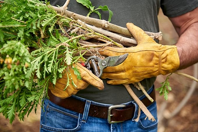 Corona BP 3180D Forged Classic Bypass Pruner with 1 Inch Cutting Capacity, 1", Red