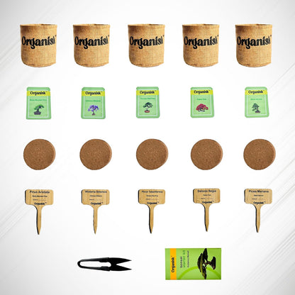 Bonsai Starter Kit - 5 Unique Tree Types, Special DIY Garden Hobby Kits - Great for Plant Lovers, for Kids, Men, Women, and Bonsai Enthusiasts
