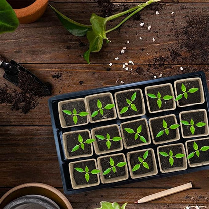 JOPY 4 Pack Seed Starter Tray Kit for Indoor Outdoor Garden Seeding Plastic Germination Trays with 120 Square Seed Peat Pots for Plant Growing