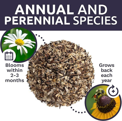 Cut Flower Garden Seeds - Extra Large 1 Ounce Packet - Over 7,500 Fresh Open Pollinated Non-GMO Wildflower Seeds - Long Lasting Annuals and Perennials with Bright Colors