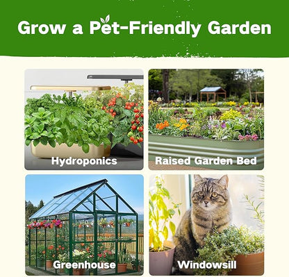 Lush&Dew Pet-Friendly Heirloom Seed Bank, Gardening Gifts for Women Men, 16 Varieties 15,000+ Non-GMO Seeds for Planting Herbs Flowers Vegetables in Raised Bed Windowsill, Annuals & Perennials