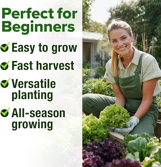 HOME GROWN 11,500+ Heirloom Lettuce Seeds - 10 Varieties Including Romaine, Buttercrunch, Iceberg, Kale & Spinach - Non-GMO USA Seeds for Planting Indoor, Outdoor & Hydroponic Gardens