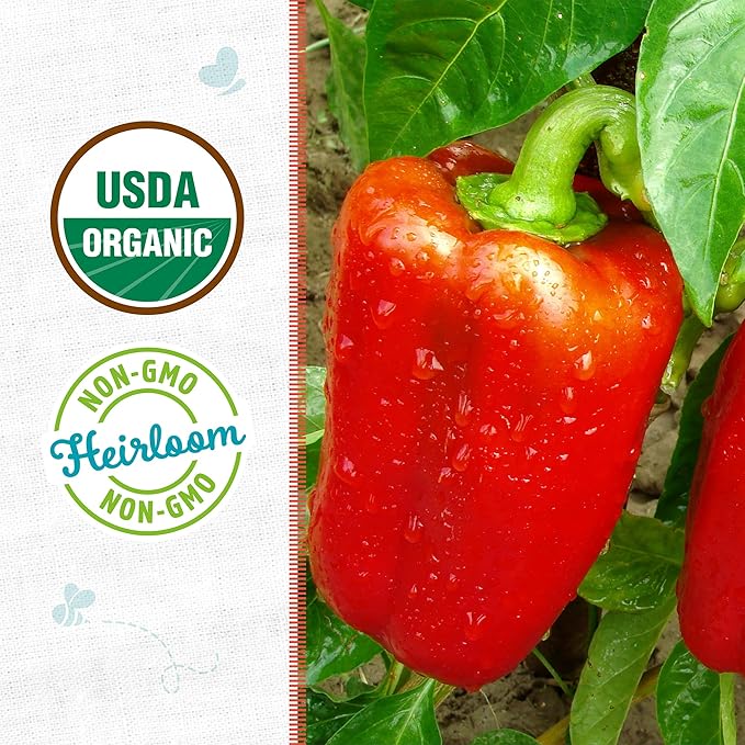 Back to The Roots 100% Organic Heirloom Seeds - Bell Pepper Value Pack (400mg Total)