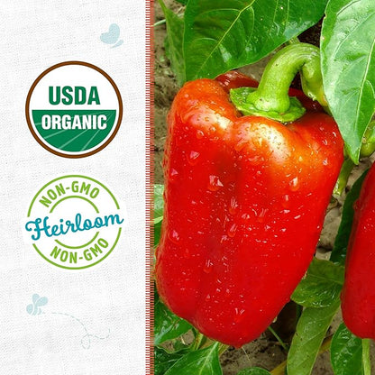 Back to The Roots 100% Organic Heirloom Seeds - Bell Pepper Value Pack (400mg Total)