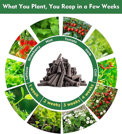 216 pcs Seed Pods Kit for Aerogarden, Grow Sponges for Hydroponics Growing System, Grow Pods for Aerogarden Kit with 100 Hydroponic Grow Sponges, 100 Pod Labels, 15 Tags, 1 Pen, Packaging May Vary