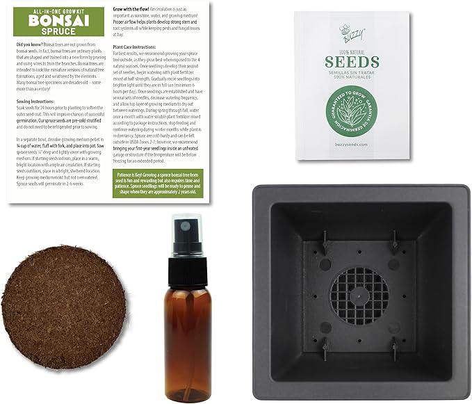 BUZZY Seeds Bonsai Starter Kit, Norway Spruce, Complete Indoor Gardening Gift, DIY Mini Tree Project, Soothing Indoor Hobby for Home or Office, Fun Stocking Stuffer, Housewarming Present