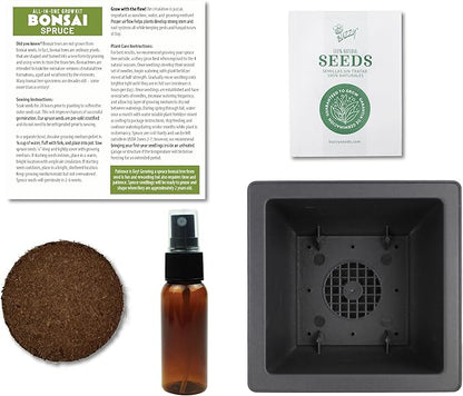 BUZZY Seeds Bonsai Starter Kit, Norway Spruce, Complete Indoor Gardening Gift, DIY Mini Tree Project, Soothing Indoor Hobby for Home or Office, Fun Stocking Stuffer, Housewarming Present