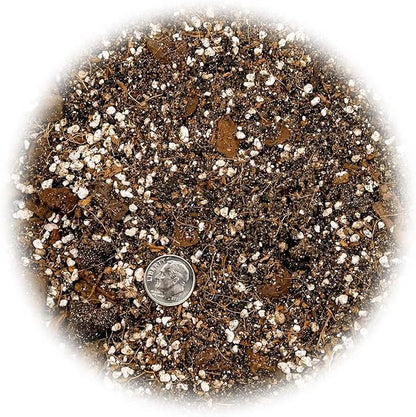 GARDENERA Premium Spider Plant Potting Soil Mix - (4 Quart Bag)