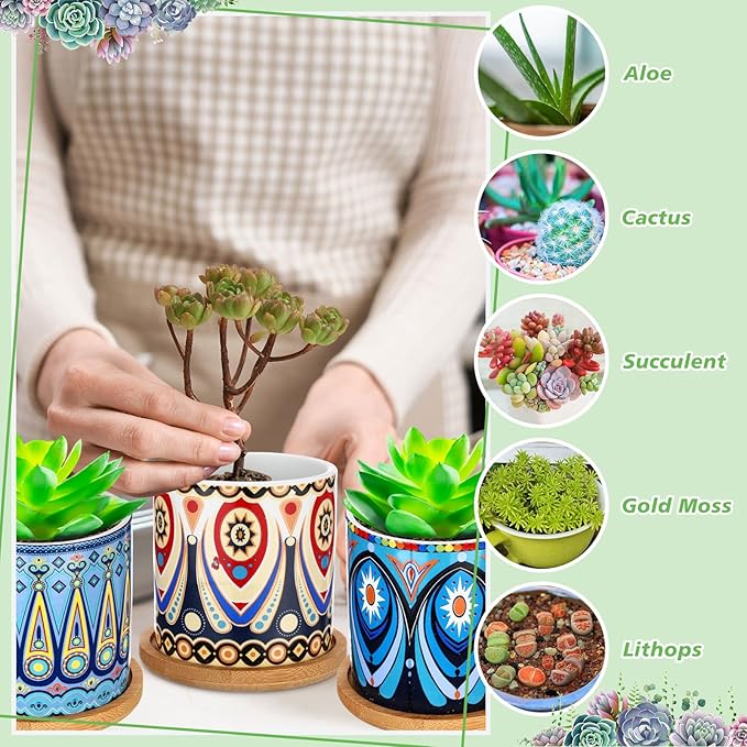 Zopeal 6 Pcs 3 Inch Succulent Pots Succulent Planters Cylinder Ceramic Pots Mandala Multicolor Cactus Pot with Drainage Holes and Bamboo Trays for Indoor Plants Flowers Garden Decoration(Basic)