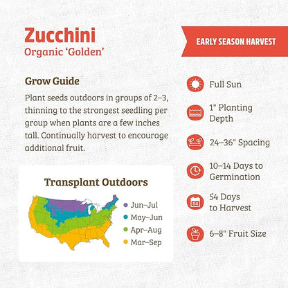 Back to The Roots 100% Organic Heirloom Seeds - Yellow Zucchini Squash Value Pack (4g Total)